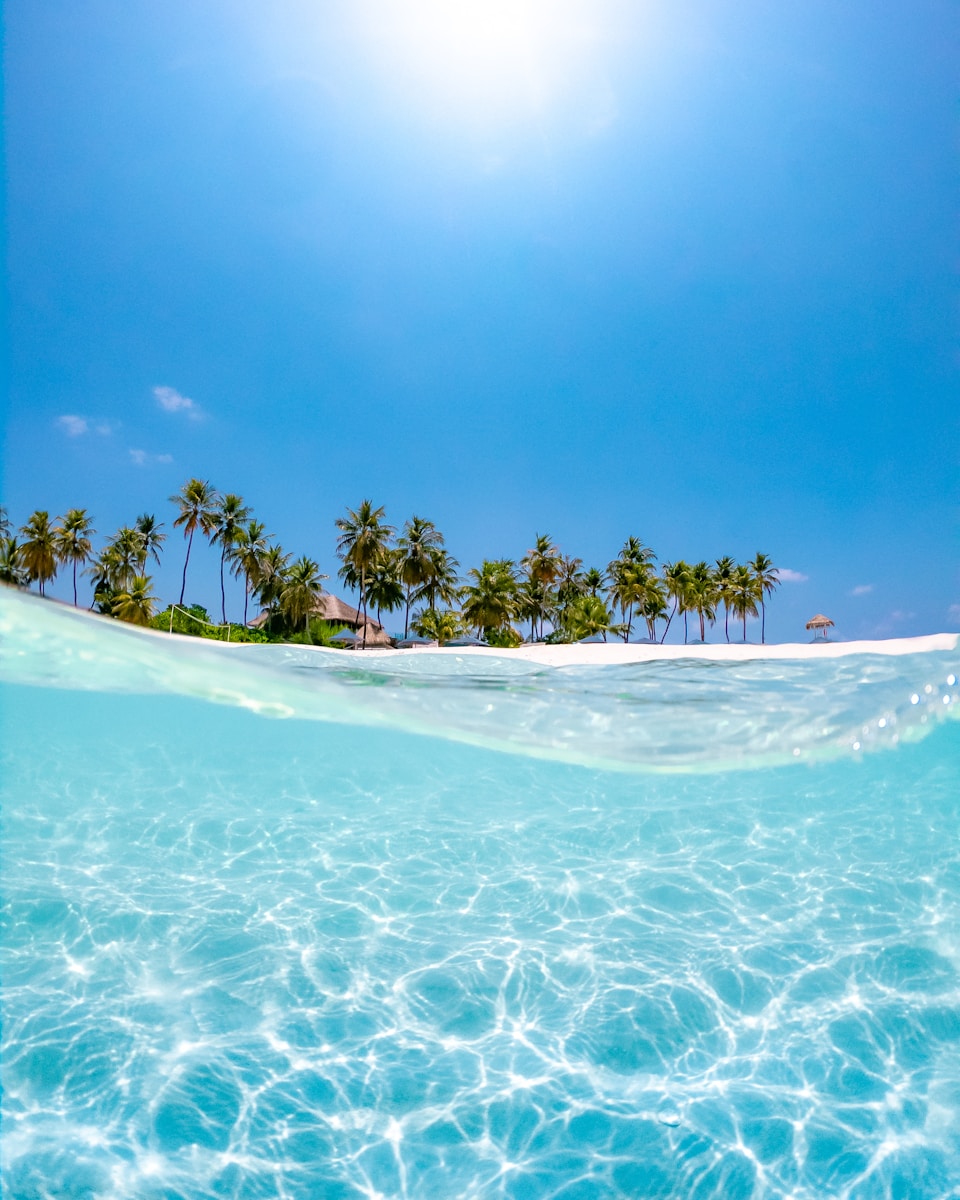 Photo by jcob nasyr crystal clear water near coconut trees under the sun